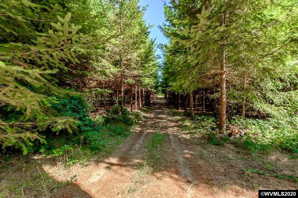 23601 Vaughn Road Veneta, OR 97487 - Photo 42 of 42 Gallery Image 42