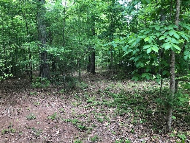 0 Grandview Bluff Road Spencer, TN 38585 - Photo 1 of 9 Gallery Image 1