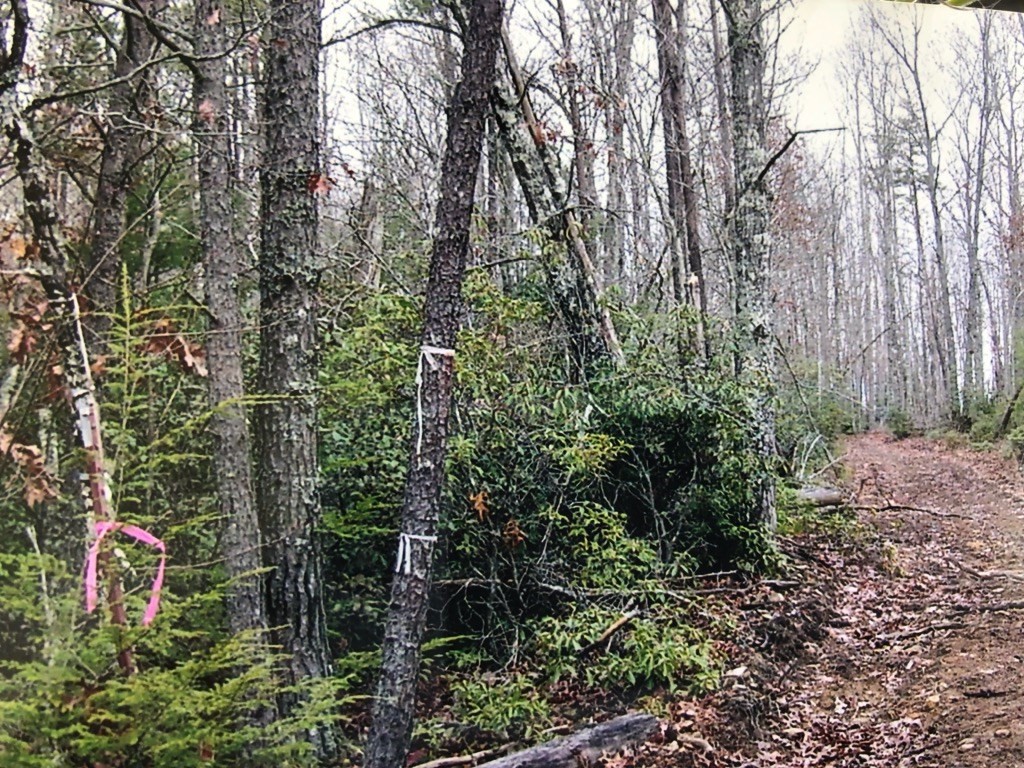0 Grandview Bluff Road Spencer, TN 38585 - Photo 4 of 9 Gallery Image 4