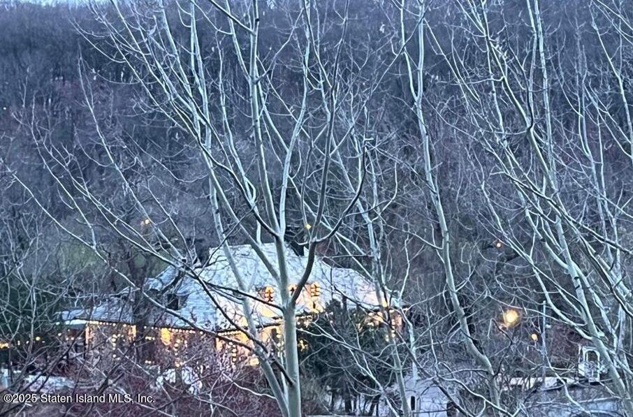 1100 Clove Road, Unit 2N Staten Island, NY 10301 - Photo 22 of 27 a backyard of a house with lots of green space