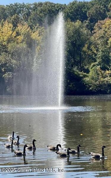 1100 Clove Road, Unit 2N Staten Island, NY 10301 - Photo 27 of 27 a view of lake