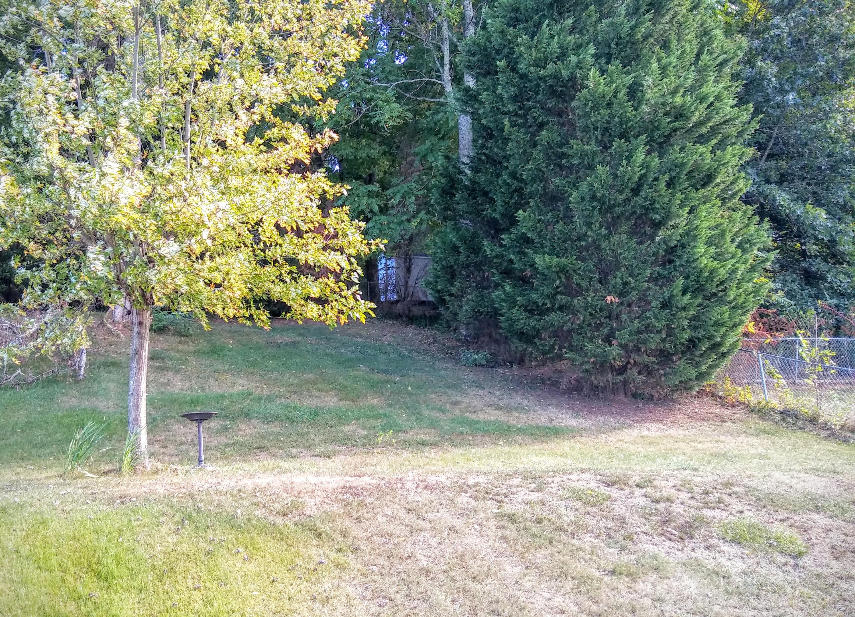 718 Taylor Road Knoxville, TN 37920 - Photo 8 of 31 20161010_154855