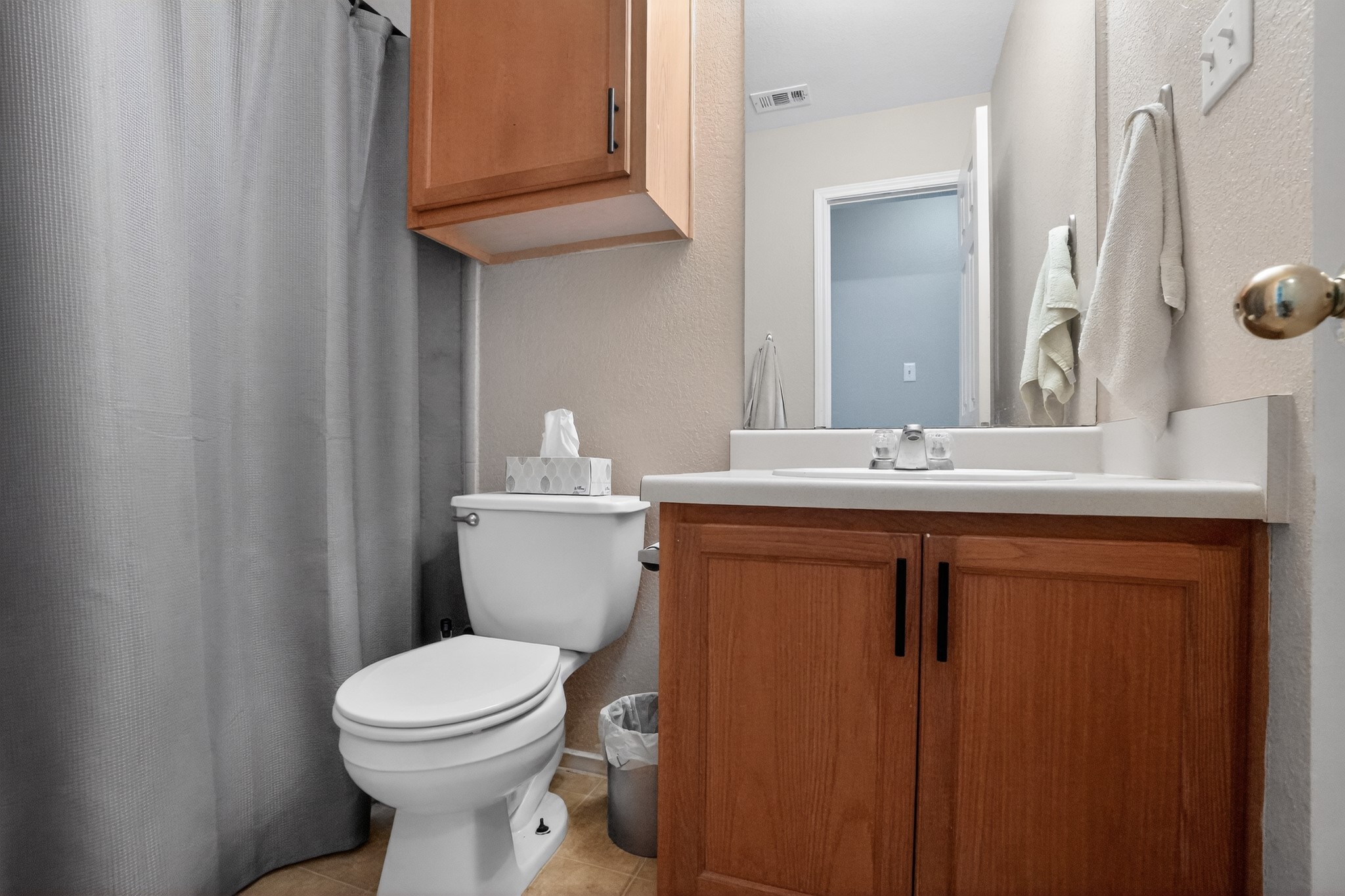 13808 Harris Ridge Boulevard Pflugerville, TX 78660 - Photo 24 of 40 a bathroom with a sink a toilet a mirror and vanity