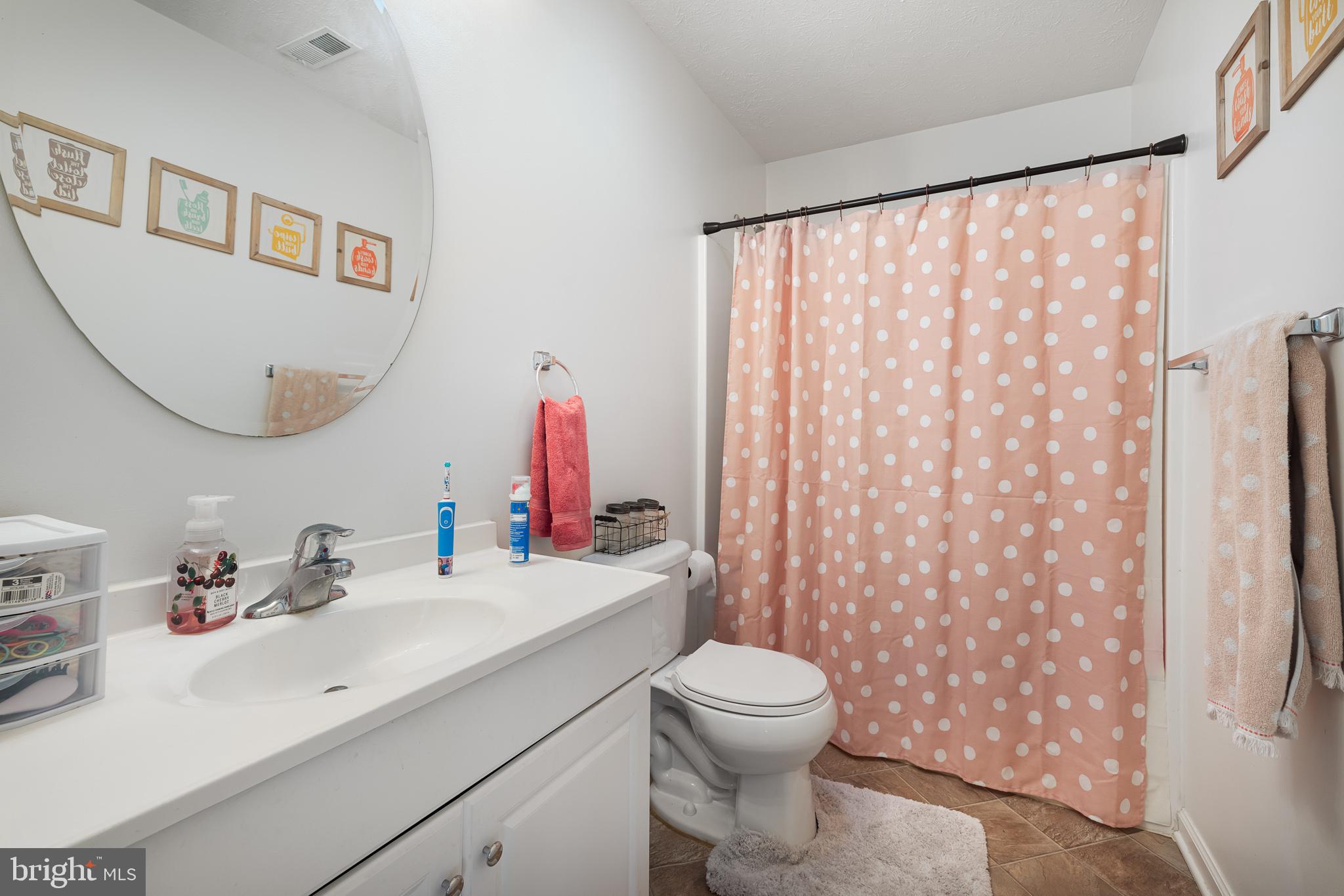 780 Lower Valley Road Strasburg, VA 22657 - Photo 18 of 37 Hall/Guest bathroom
