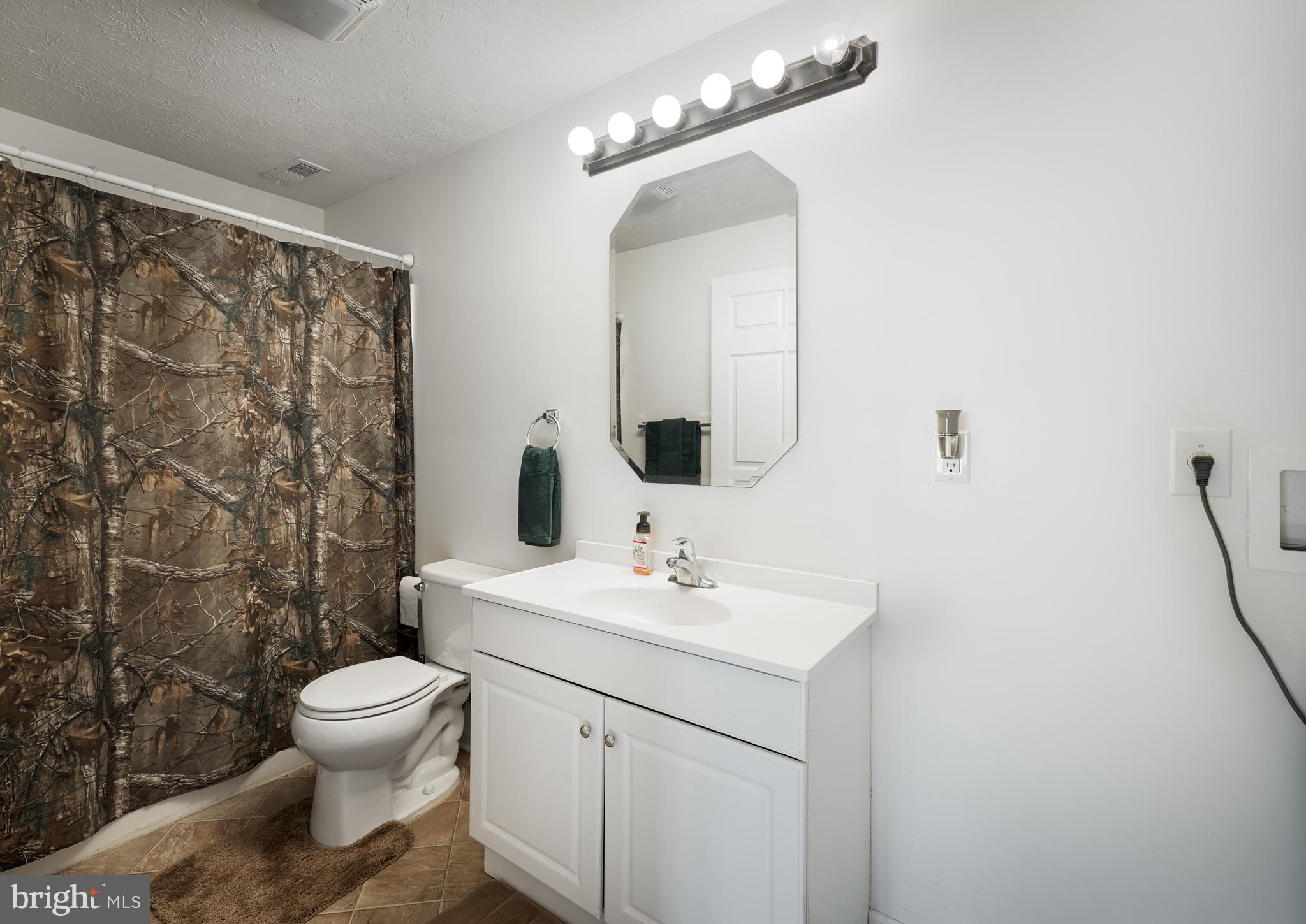 780 Lower Valley Road Strasburg, VA 22657 - Photo 27 of 37 Third full bath