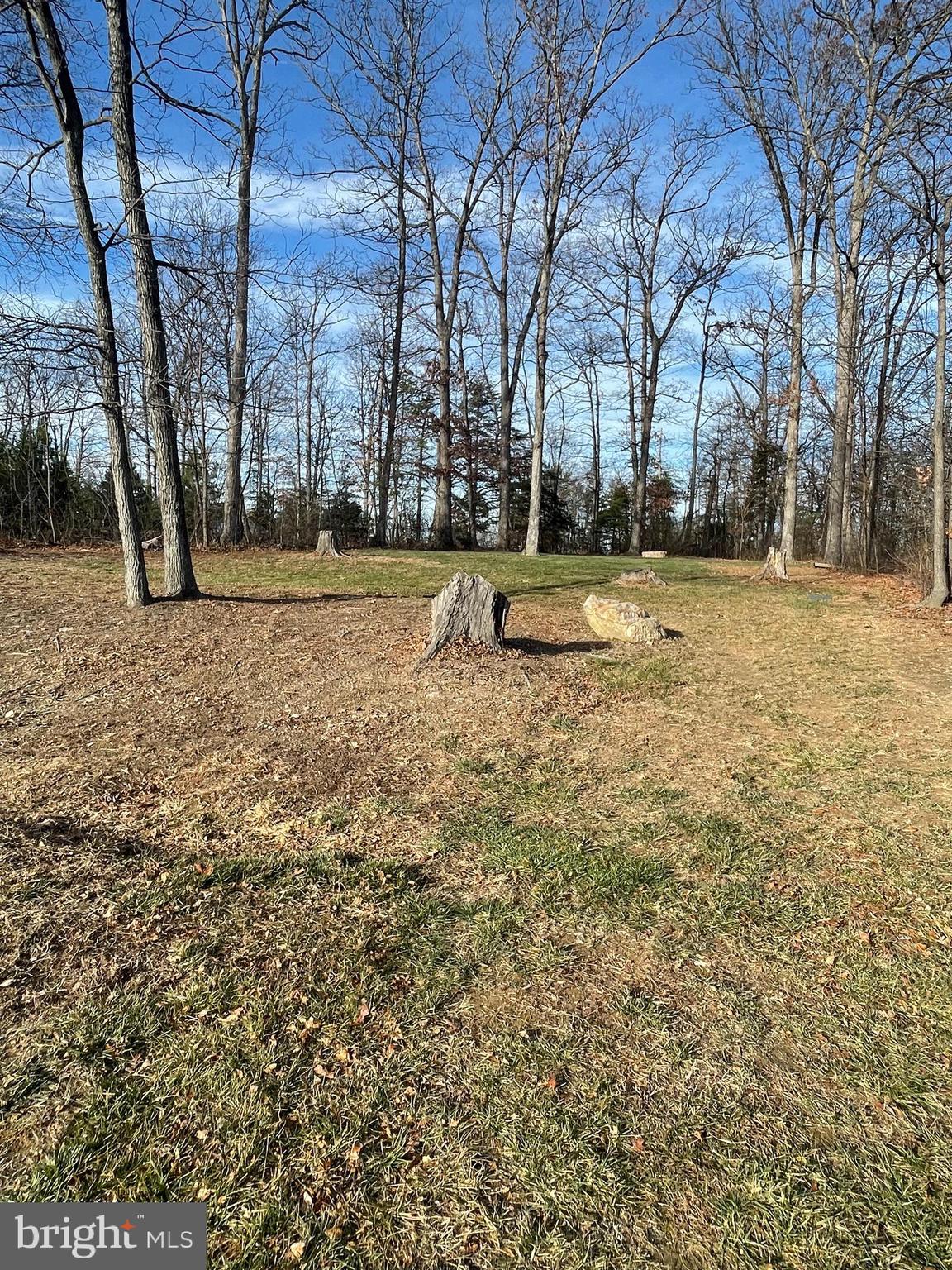 780 Lower Valley Road Strasburg, VA 22657 - Photo 28 of 37 View of backyard from deck.