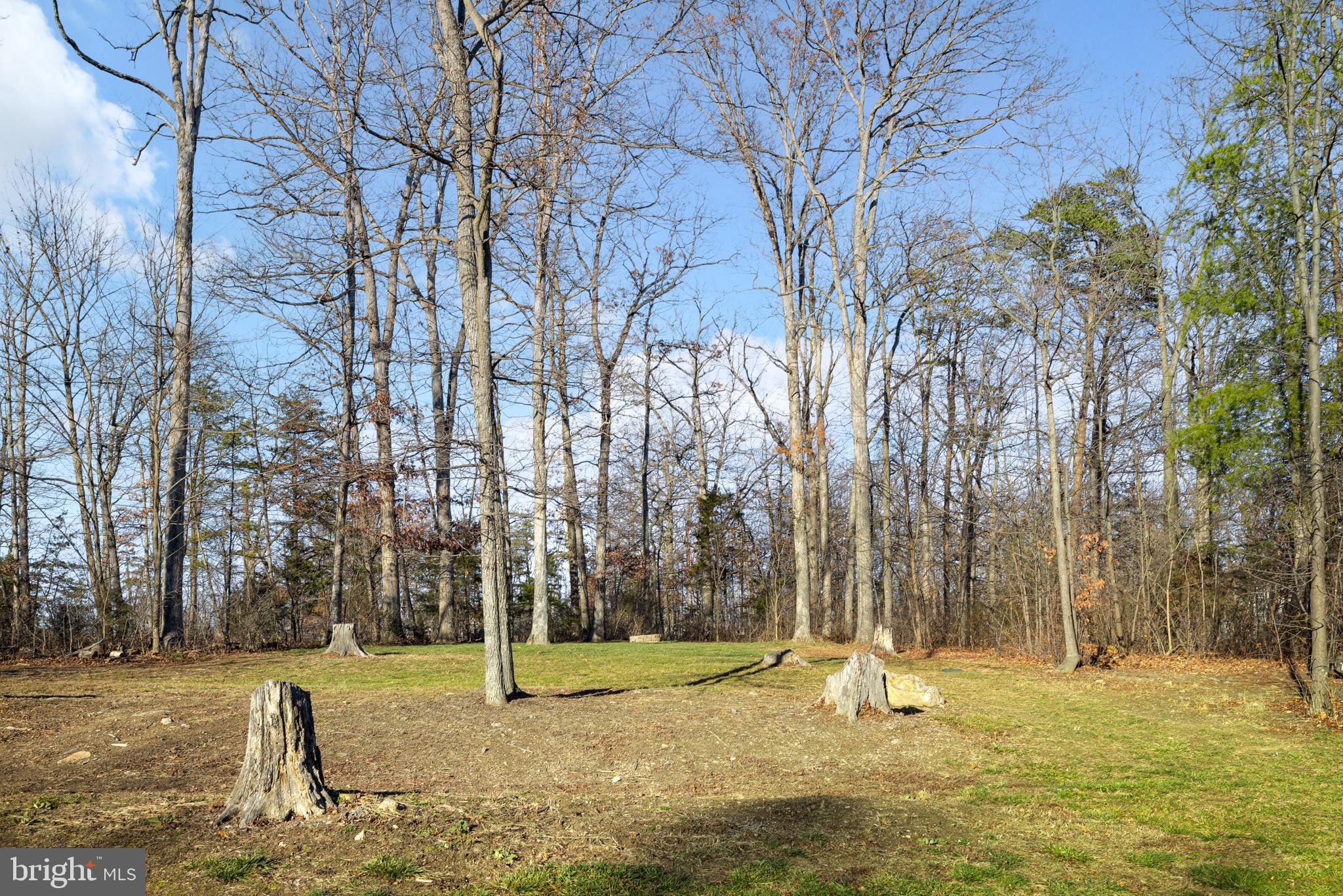 780 Lower Valley Road Strasburg, VA 22657 - Photo 29 of 37
