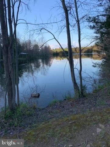 780 Lower Valley Road Strasburg, VA 22657 - Photo 36 of 37 Private lake