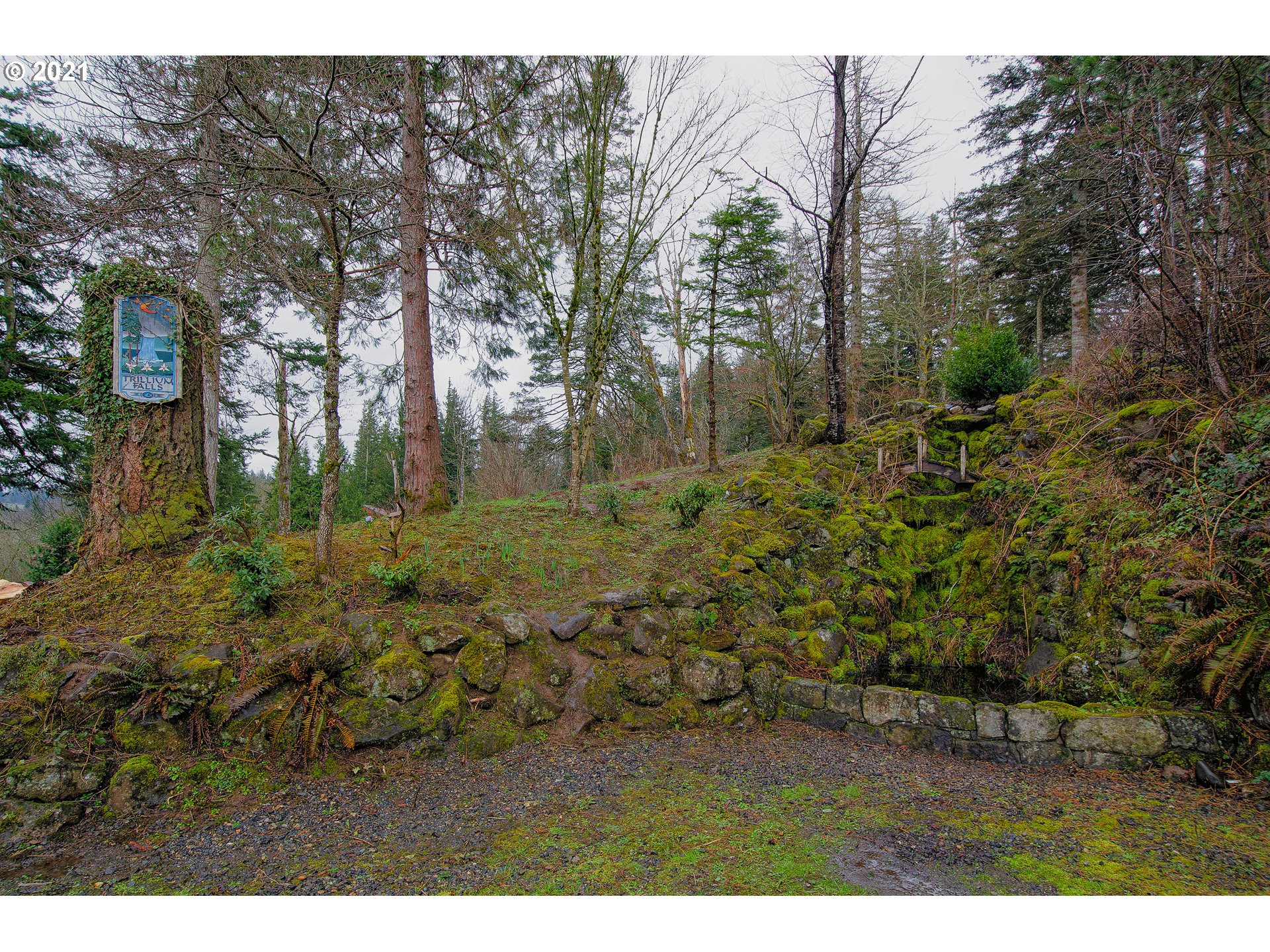 509 Northeast Pounder Road Corbett, OR 97019 - Photo 29 of 32 a view of a yard with an tree