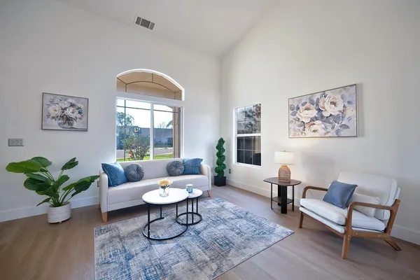 a living room with furniture a rug and a potted plant
