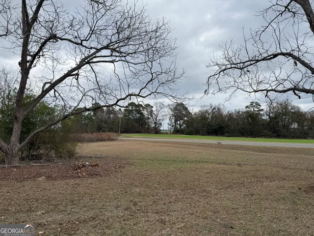 $245,000 | 15497 Highway 233, Abbeville, GA 31001