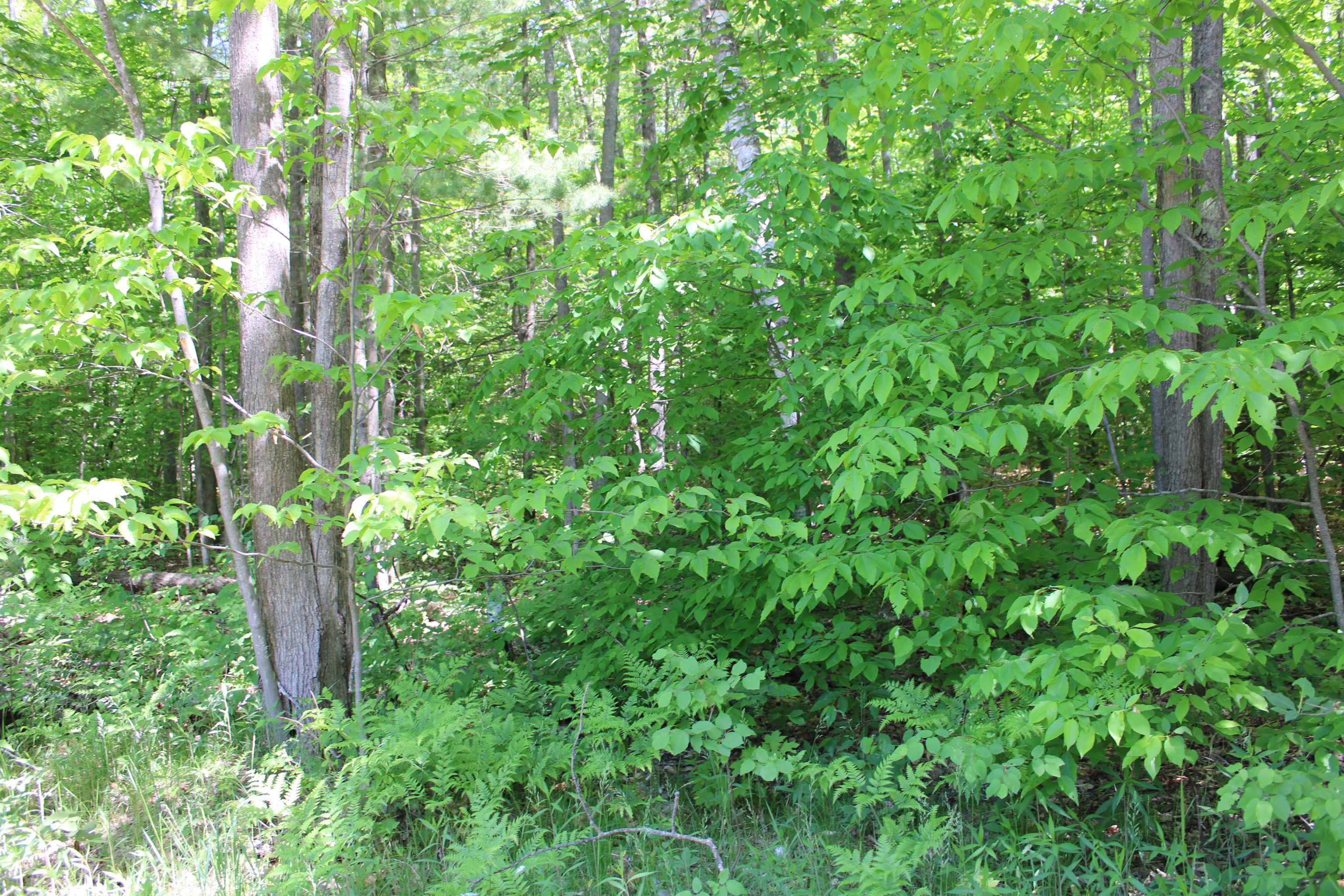 Vl Squaw Lake Road Kalkaska, MI 49646 - Photo 16 of 21