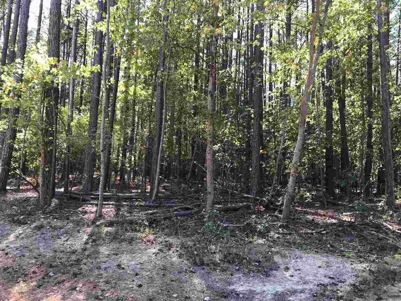 1012 Stone Furrow Place Raleigh, NC 27603 - Photo 3 of 4 Photo 3
