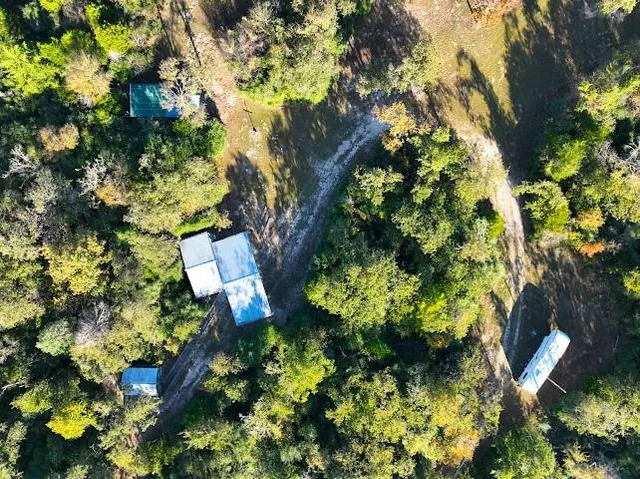 a view of a garden with flowers