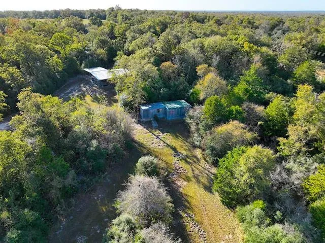 a view of a garden with plants