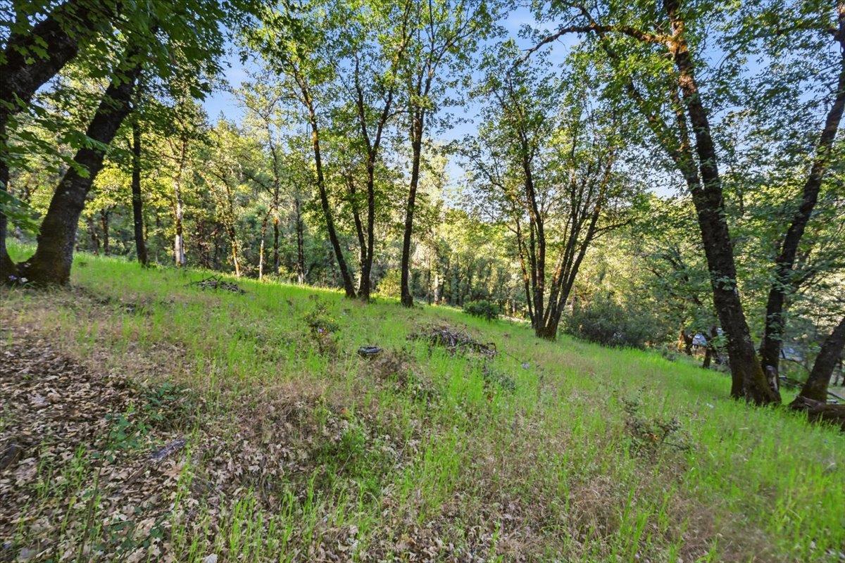 16095 Auburn Road Grass Valley, CA 95949 - Photo 20 of 20