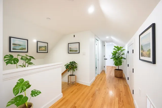 a view of a white house with wooden floor and a potted plant