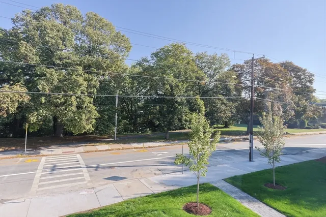 a view of a park with large trees