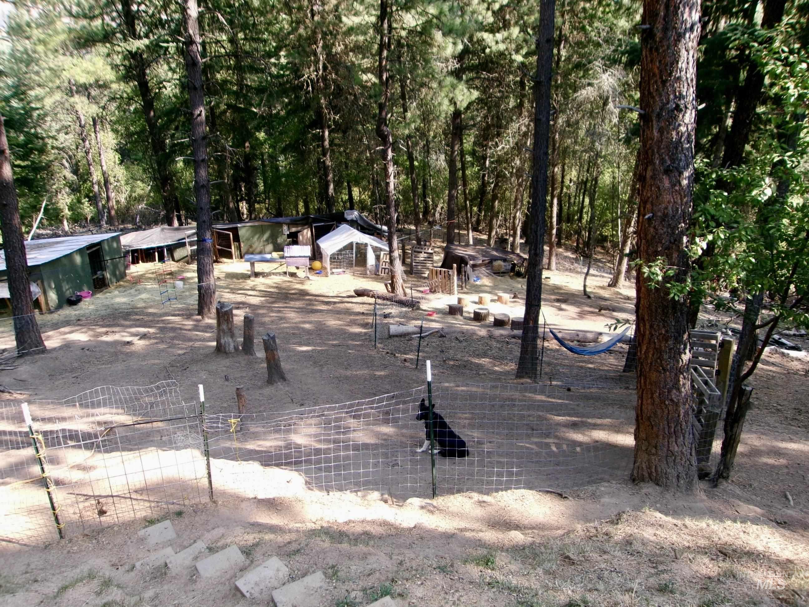 123 Conifer Lane Stites, ID 83552 - Photo 44 of 48