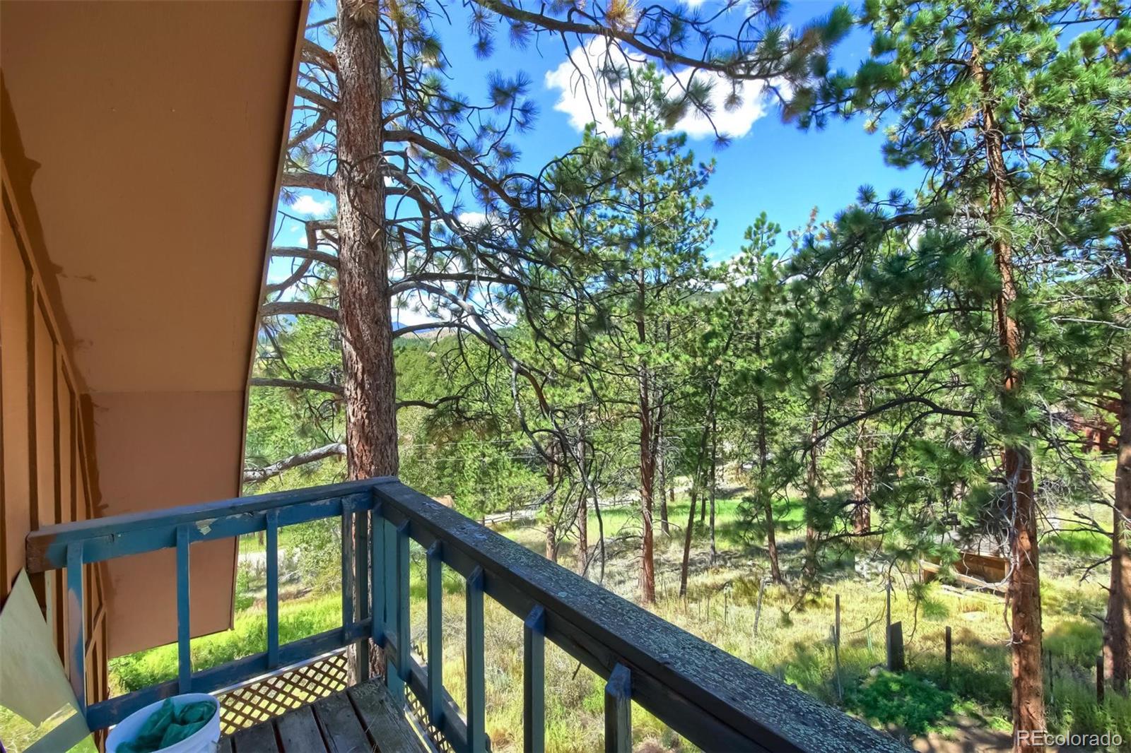 145 Bailey Drive Bailey, CO 80421 - Photo 25 of 40 a view of a balcony with a pot