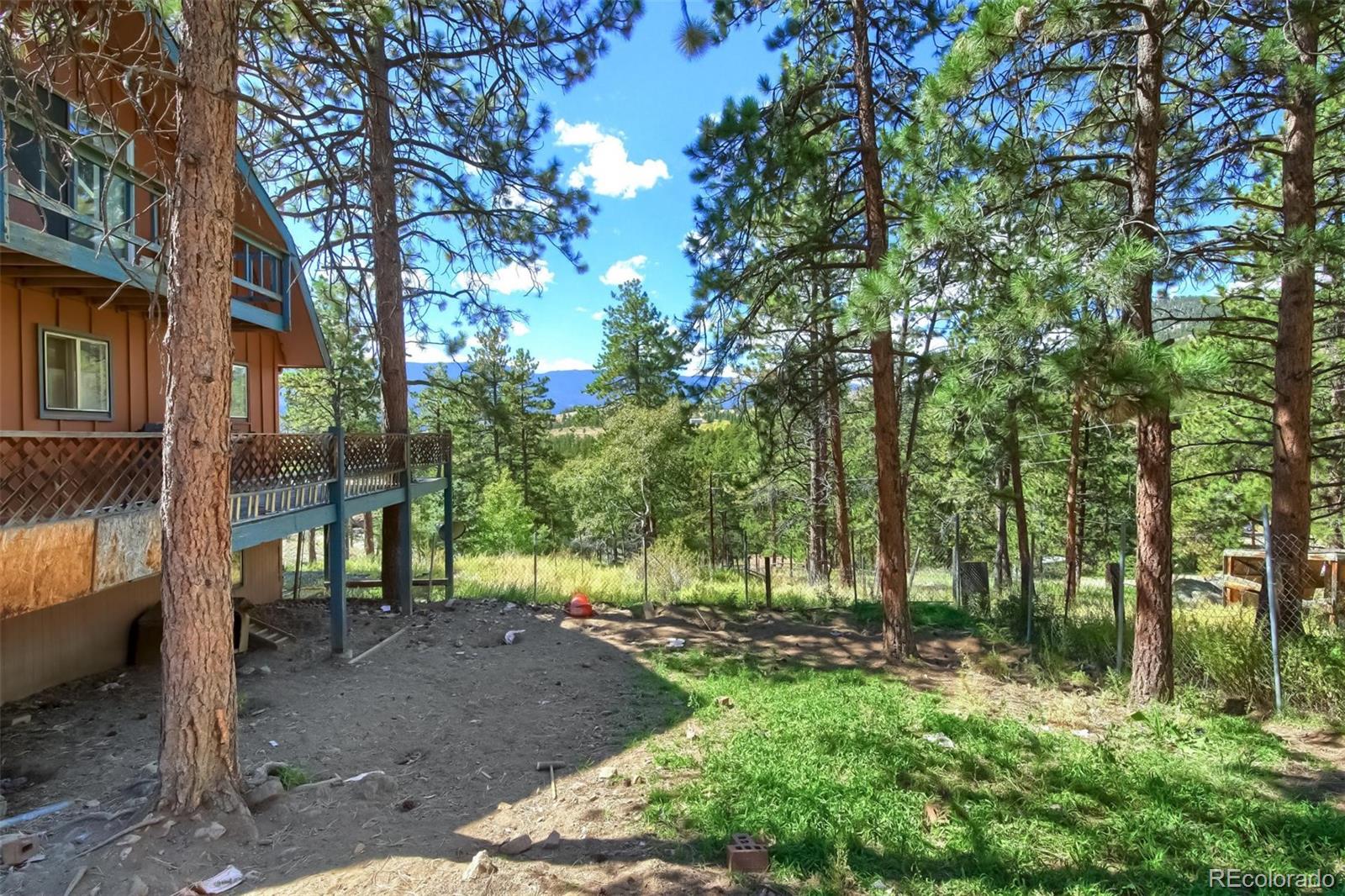 145 Bailey Drive Bailey, CO 80421 - Photo 37 of 40 a view of outdoor space and yard