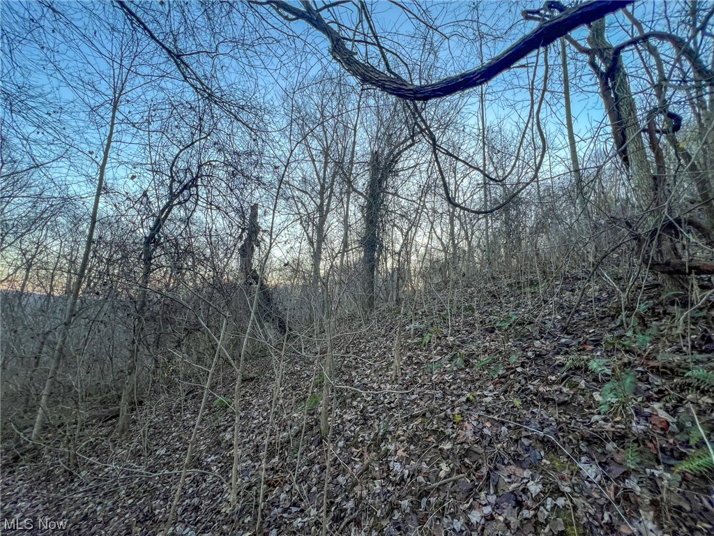 44886 Ludolph Ridge Road New Matamoras, OH 45767 - Photo 21 of 42 View of local wilderness