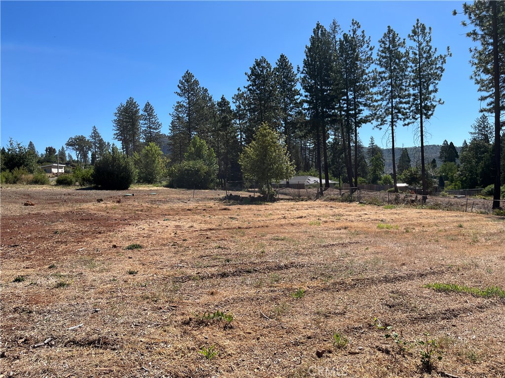 9250 Skyway Road Paradise, CA 95969 - Photo 2 of 6