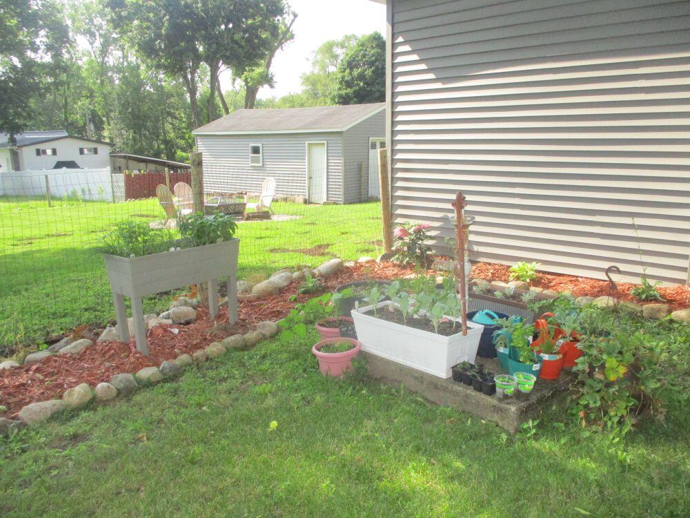 412 North Swan Street Colon, MI 49040 - Photo 14 of 18 landscaping