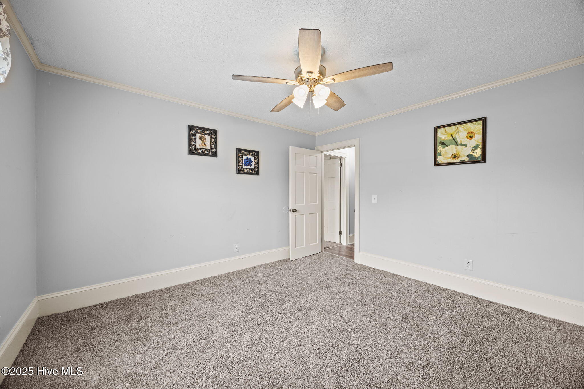 310 Morris Bbq Road Hookerton, NC 28538 - Photo 29 of 65 44-web-or-mls-IMG_7313