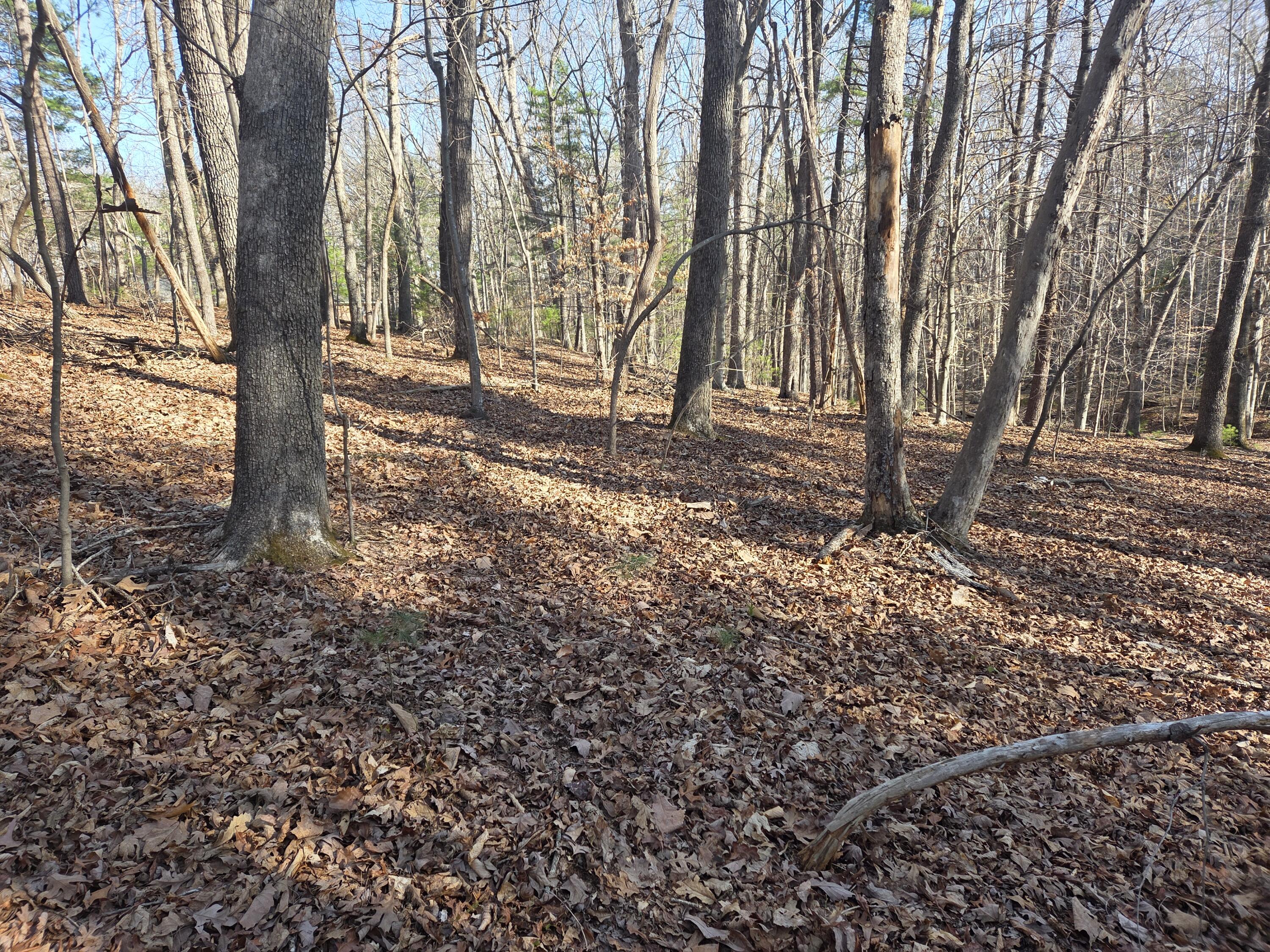 0 Hopkins Road Rocky Mount, VA 24151 - Photo 3 of 4 a backyard of a house with lots of green space
