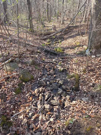 a view of outdoor space with green space