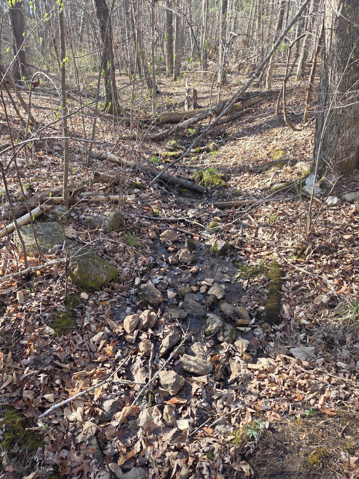 0 Hopkins Road Rocky Mount, VA 24151 - Photo 4 of 4 a view of outdoor space with green space