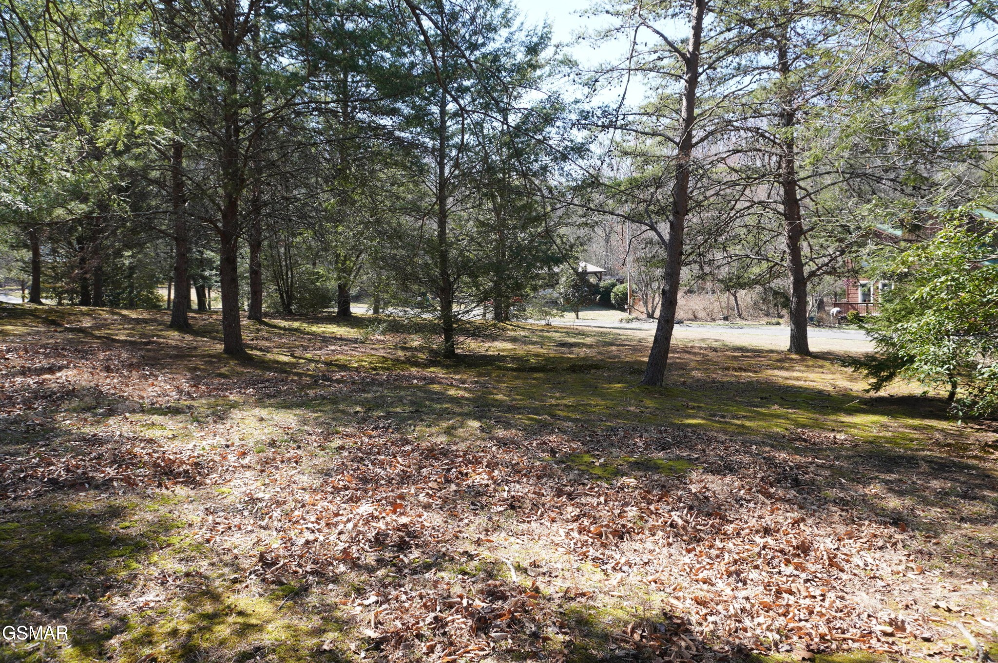 19 Rhododendron Trail Cosby, TN 37722 - Photo 8 of 18 Gallery Image 8