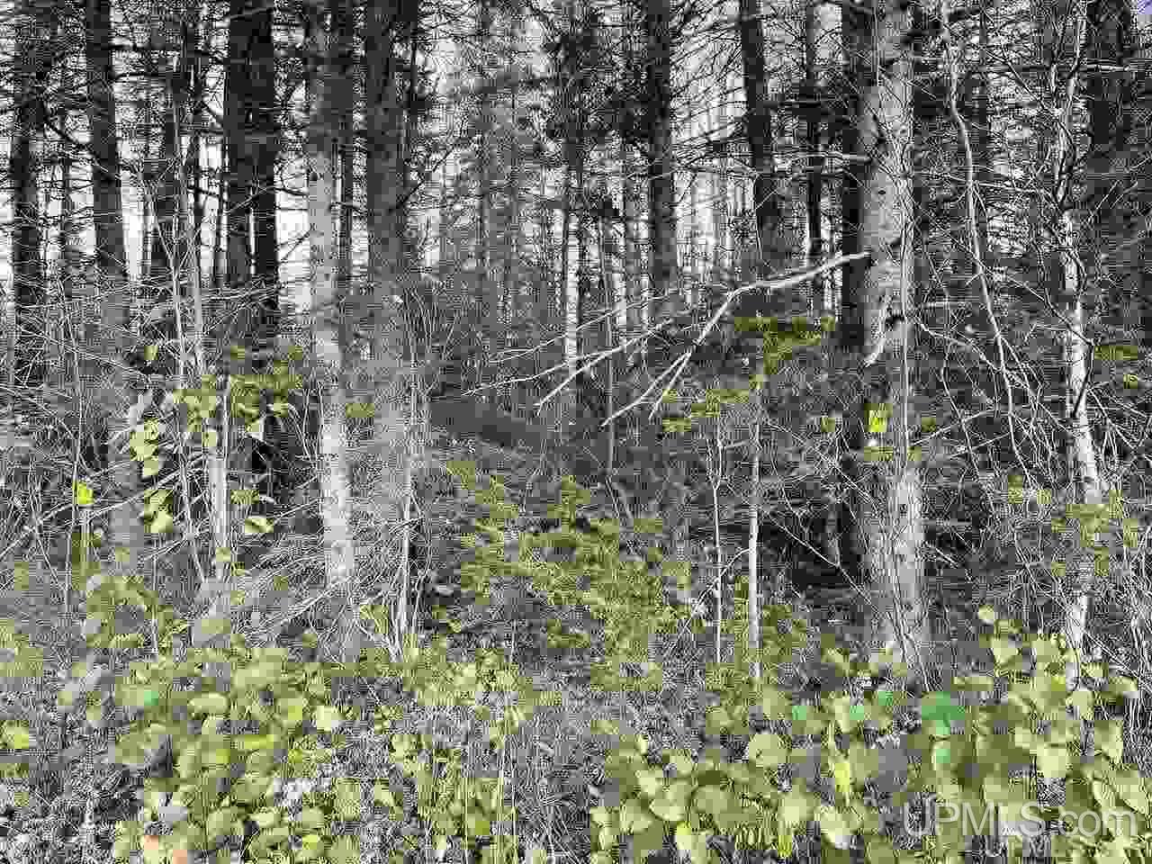 Tbd South Johnson Road Bessemer, MI 49911 - Photo 7 of 9