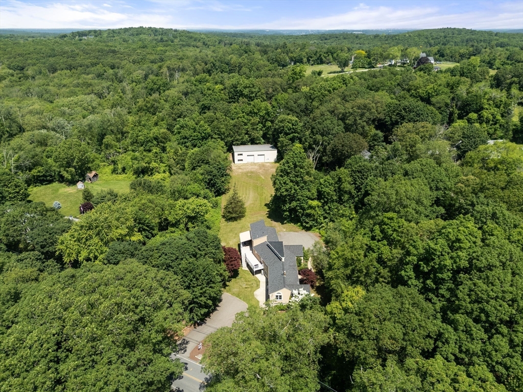 242 Boston Road Sutton, MA 01590 - Photo 34 of 39 a view of a forest with a street
