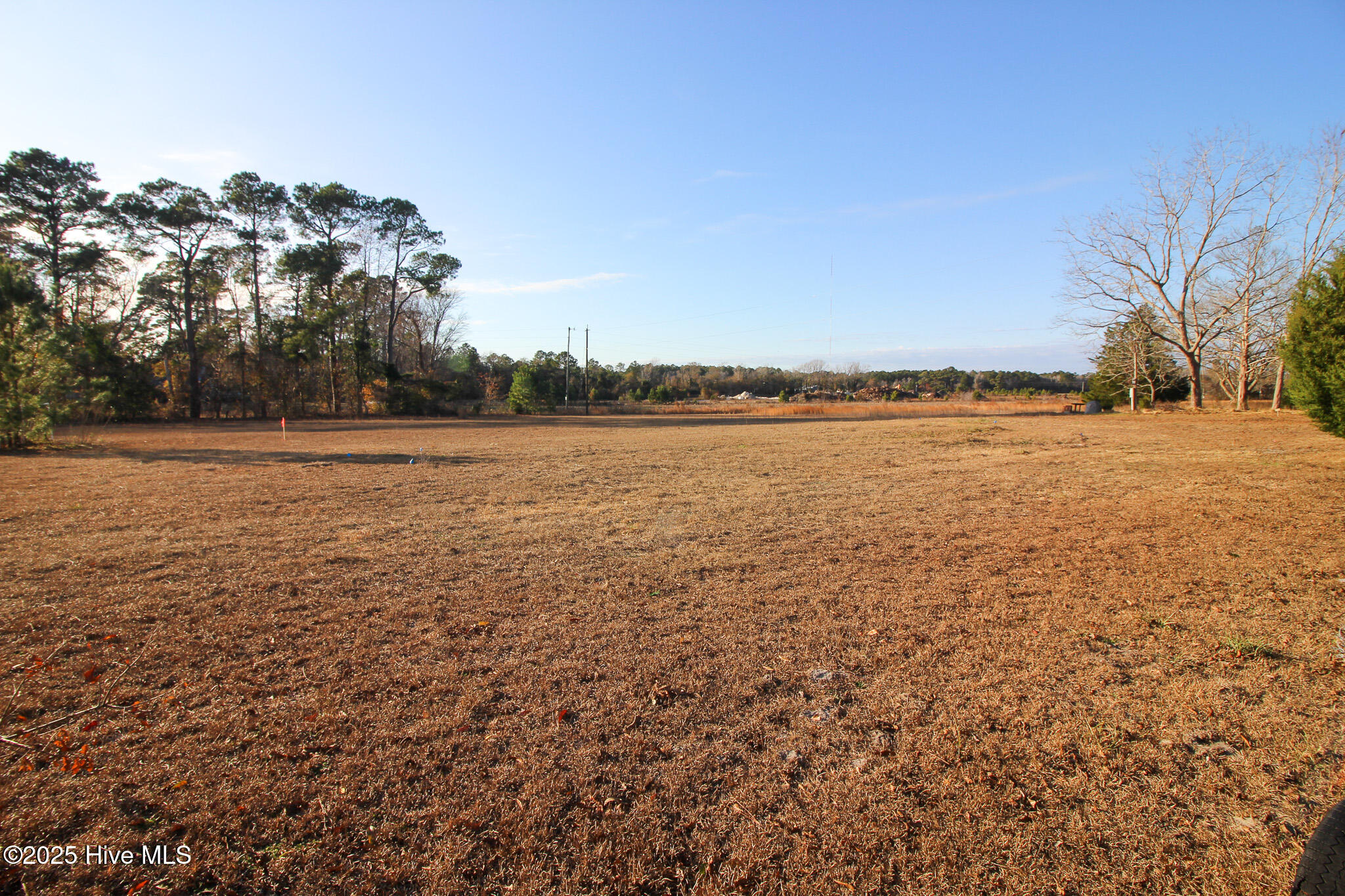 181 Pinetop Road Newport, NC 28570 - Photo 1 of 5 IMG_5956