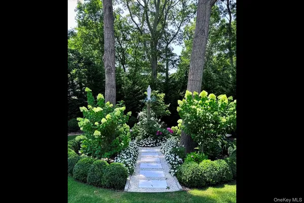 a view of a garden with plants