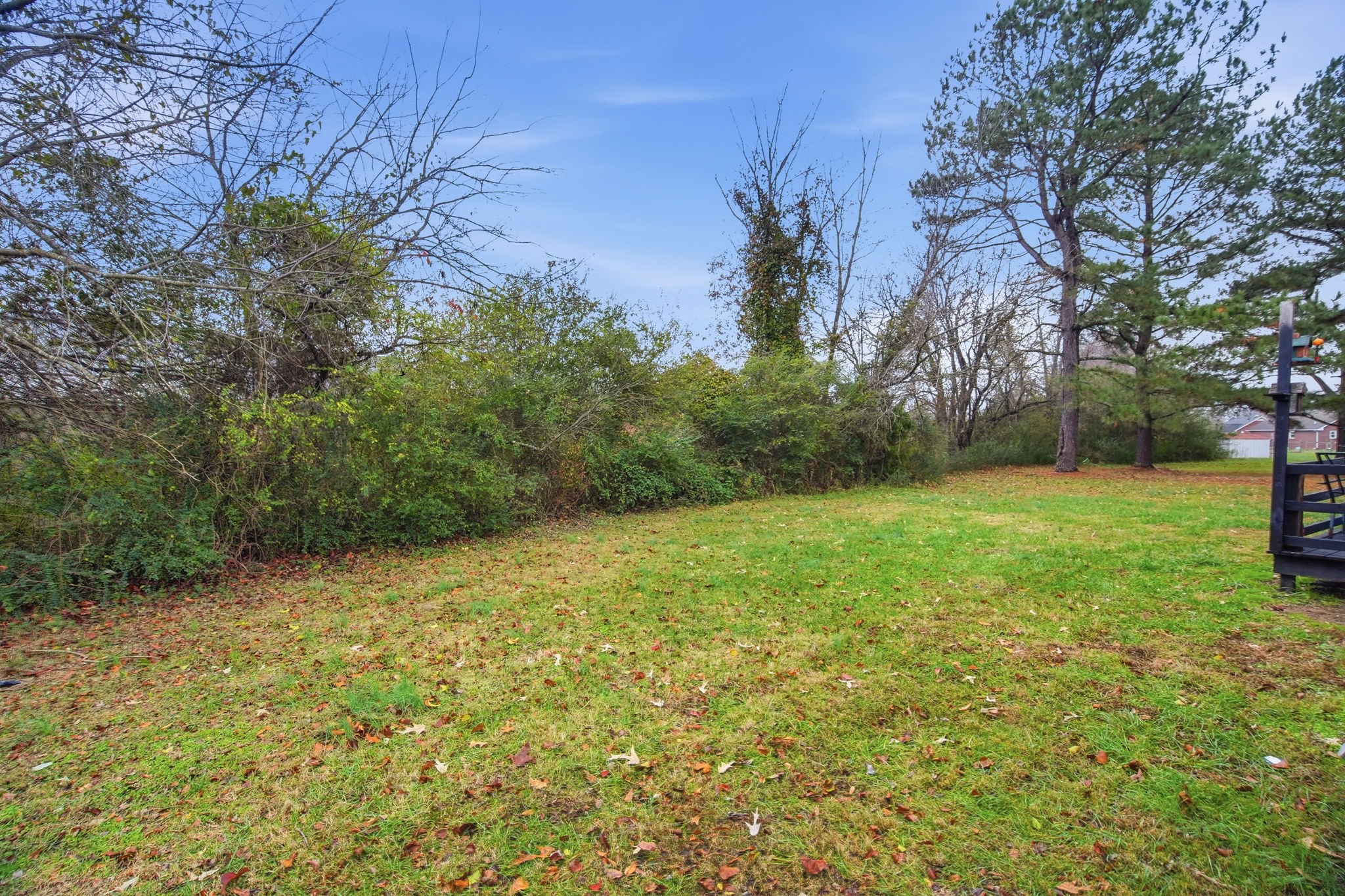 115 Gayla Court Portland, TN 37148 - Photo 24 of 46 a view of a field with trees in the background