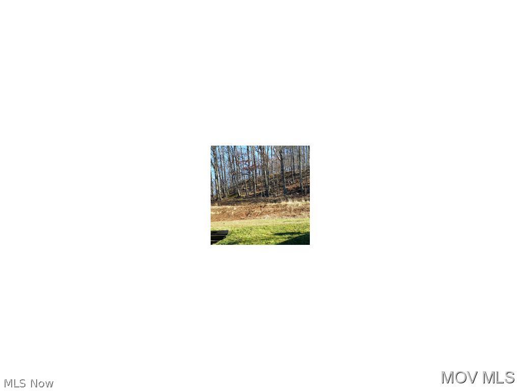 2050 Congress Road Belpre, OH 45714 - Photo 10 of 19 Wooded area