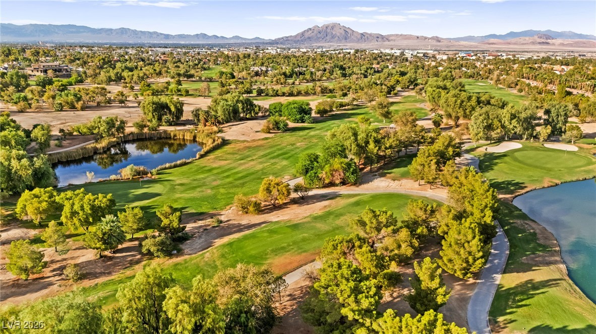 409 Indigo Springs Street Henderson, NV 89014 - Photo 3 of 95