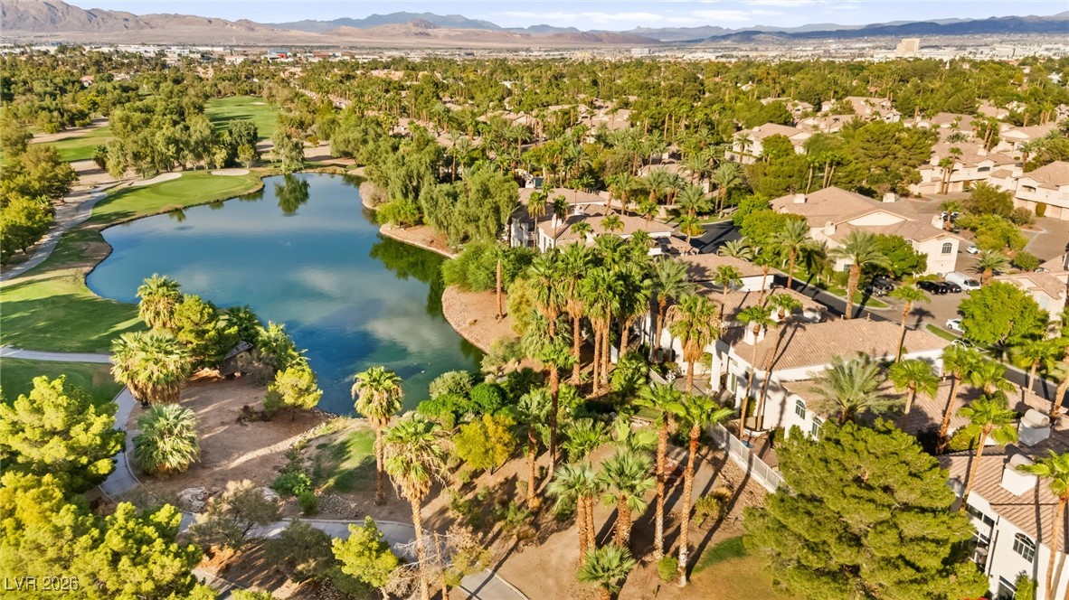 409 Indigo Springs Street Henderson, NV 89014 - Photo 85 of 95