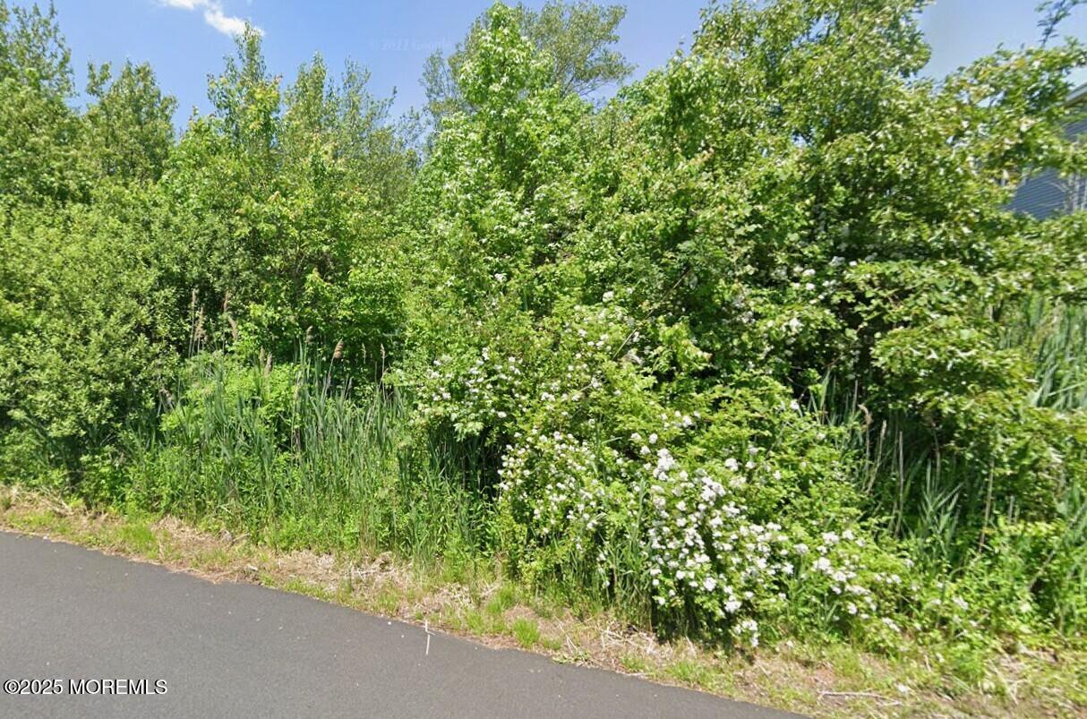 96 Ocean Avenue Waretown, NJ 08758 - Photo 1 of 8 Michigan Ave side of 96 Ocean dbl lot