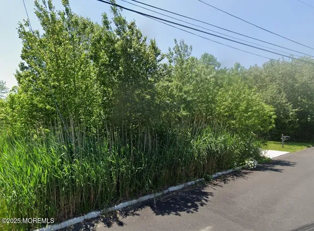 a view of backyard with green space