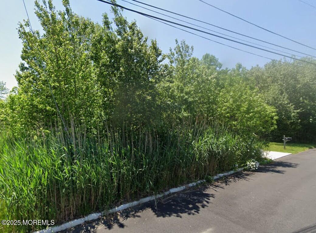 96 Ocean Avenue Waretown, NJ 08758 - Photo 5 of 8 96 Ocean ave Fall (2) 2025