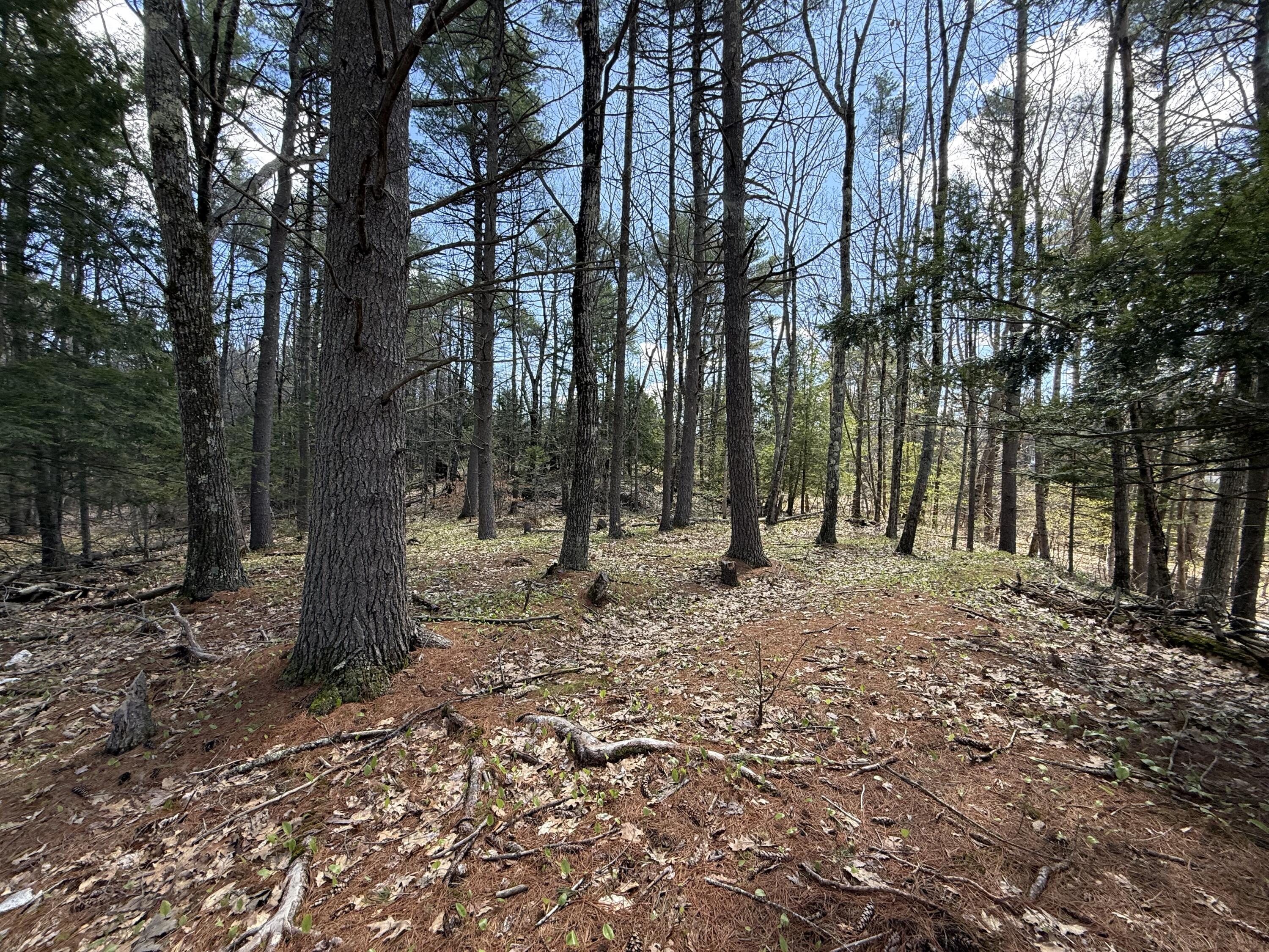 437 Hatch Road Auburn, ME 04210 - Photo 6 of 18 IMG_0688