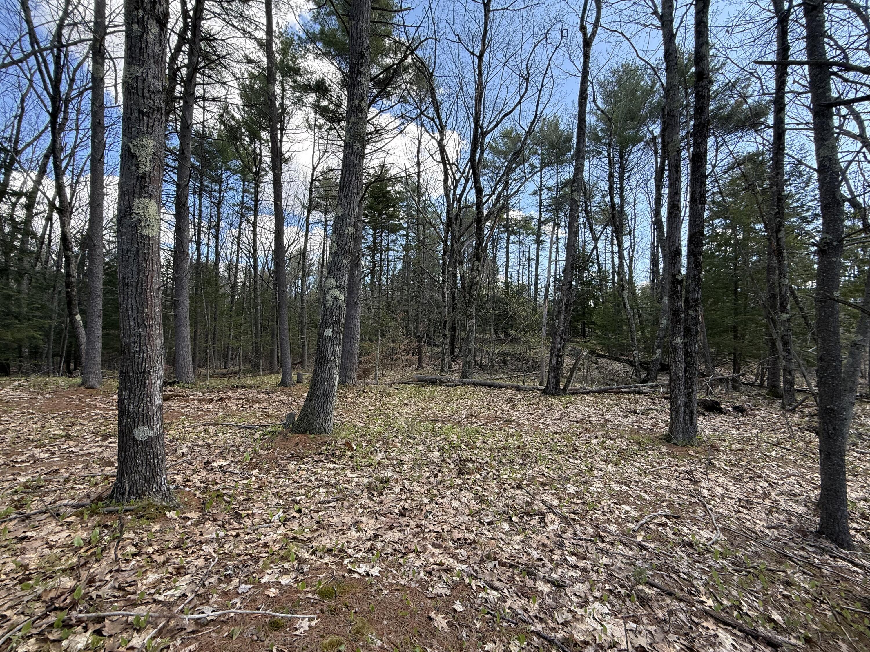 437 Hatch Road Auburn, ME 04210 - Photo 7 of 18 IMG_0687