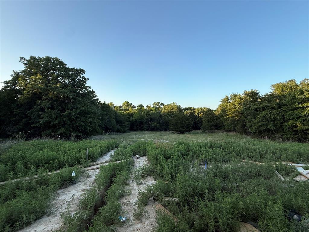 281 Zebrastone Way Poolville, TX 76487 - Photo 8 of 9