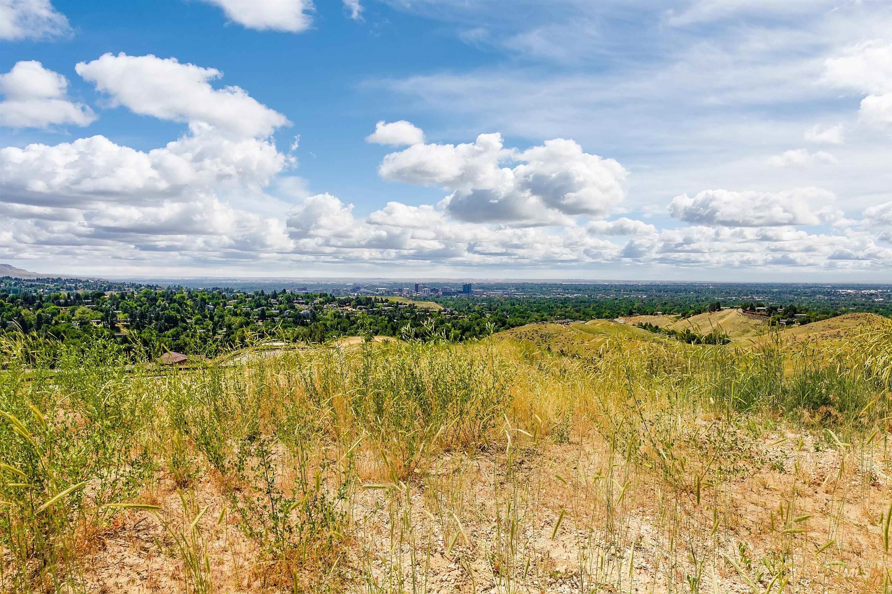3685 North Capitol View Lane Boise, ID 83702 - Photo 17 of 36 View of nature