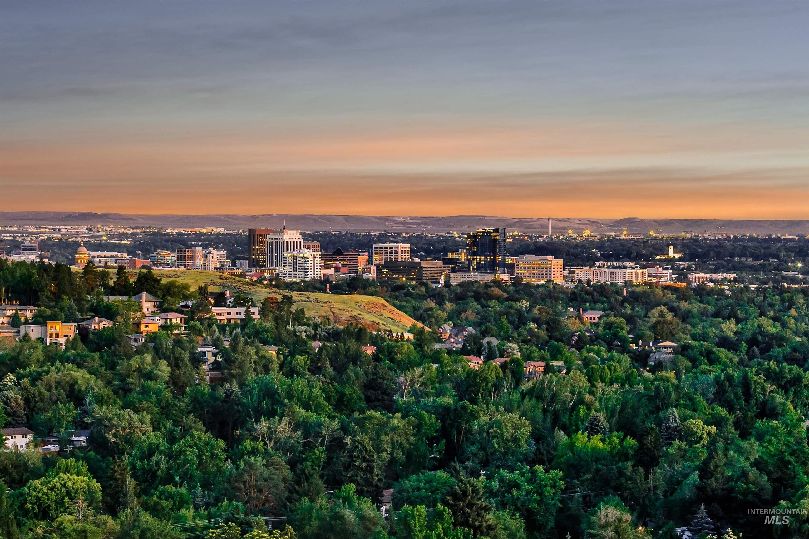 3685 North Capitol View Lane Boise, ID 83702 - Photo 2 of 36 View of city