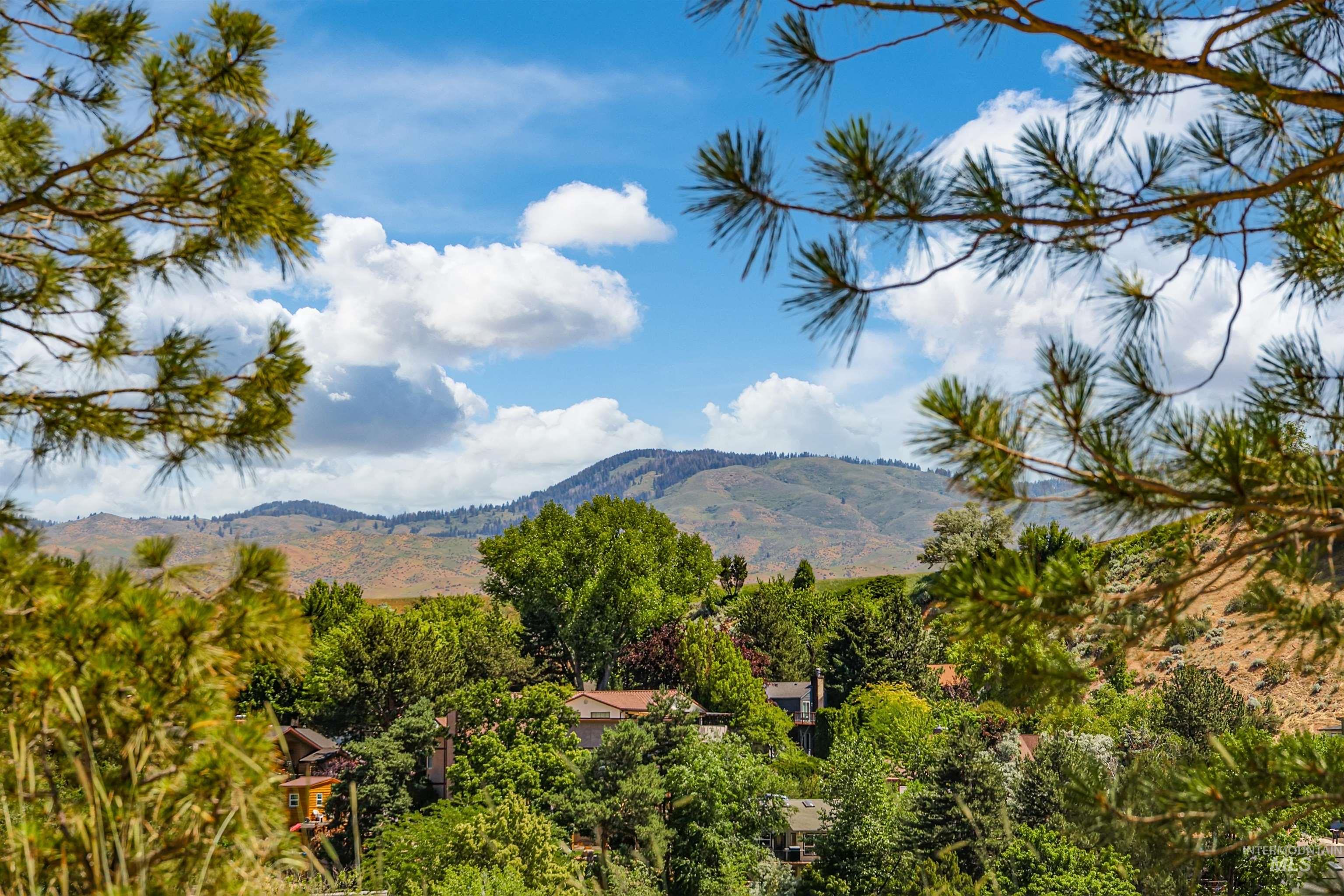 3685 North Capitol View Lane Boise, ID 83702 - Photo 29 of 36 View of mountain background